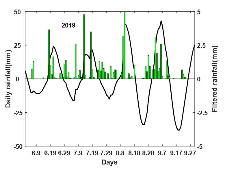 Observation of the low frequency component for the daily rainfall over the lower reaches of the Yangtze River valley in 2019